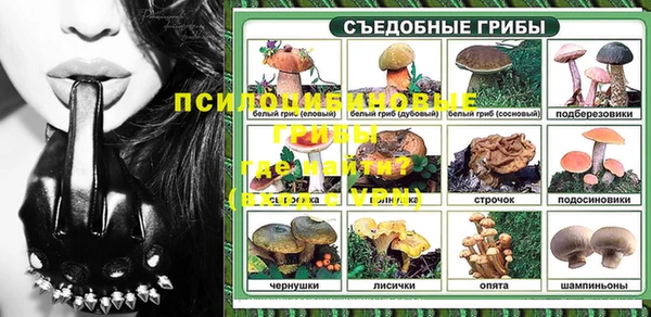 ГАЛЛЮЦИНОГЕННЫЕ ГРИБЫ Абдулино