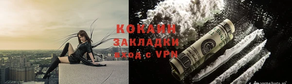 индика Абинск