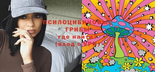 ГАЛЛЮЦИНОГЕННЫЕ ГРИБЫ Абдулино