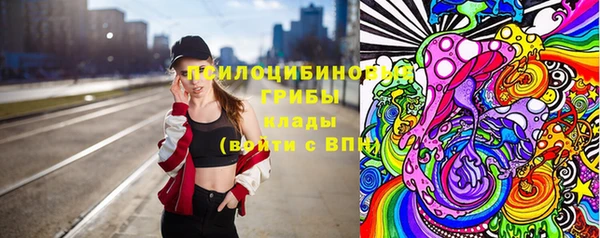 индика Абинск