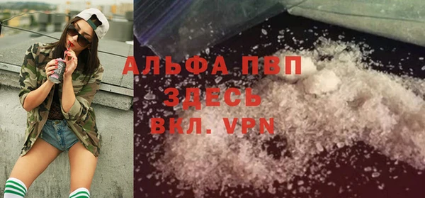 индика Абинск