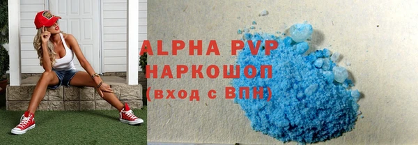 индика Абинск