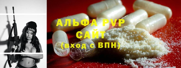 крисы Ростов